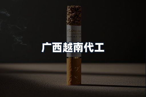 广西越南代工
